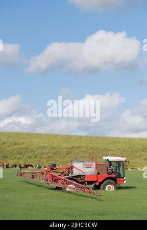 Ein selbstfahrender Bateman Crop Sprayer, der an einem sonnigen Sommermorgen in einem Gerstenfeld eingesetzt wird Stockfoto