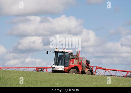 Ein selbst angetriebener Bateman 4000 Feldspritze in Aktion an einem sonnigen Morgen im Sommer in einem Feld von Gerste Stockfoto