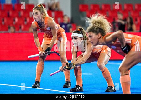 TERRASSA, SPANIEN - 17. JULI: Eva de Goede aus den Niederlanden, Laura Nunnink aus den Niederlanden während des FIH Hockey Women's World Cup 2022 Final match zwischen den Niederlanden und Argentinien beim Estadi Olímpic de Terrassa am 17. Juli 2022 in Terrassa, Spanien (Foto: Patrick Goosen/Orange Picles) Stockfoto