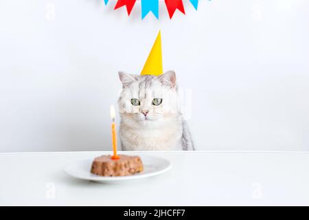 Eine weiße Katze in einer gelben Papierkappe sitzt an einem weißen Tisch und schaut auf eine Kerze in einem Konservenkuchen Stockfoto