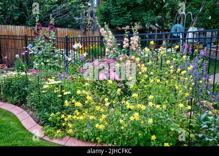 Ein Hochsommergarten in voller Blüte in Denver, Colorado Stockfoto