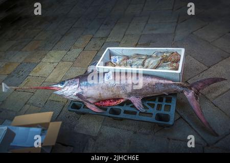 Schwertfisch (Xiphias gladius) auf dem Rialto-Markt (Mercato Rialto) in Venedig, Italien, erhältlich Stockfoto
