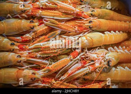 Eine Ausstellung von Scampi (Nephrops norvegicus) auf dem Rialto Markt (Mercato Rialto) in Venedig, Italien Stockfoto