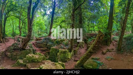 Die moosbedeckten Felsen von Puzzlewood, einem Wald in der Nähe von Coleford, Royal Forest of Dean, Großbritannien. Stockfoto