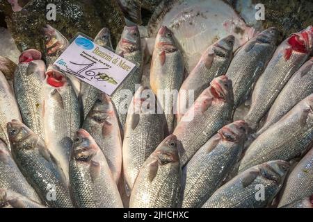 Branzino di Mare/Seebarsch/Loup de Mer (Dicentrarchus labrax) auf dem Rialto-Markt (Mercato Rialto) in Venedig, Italien Stockfoto