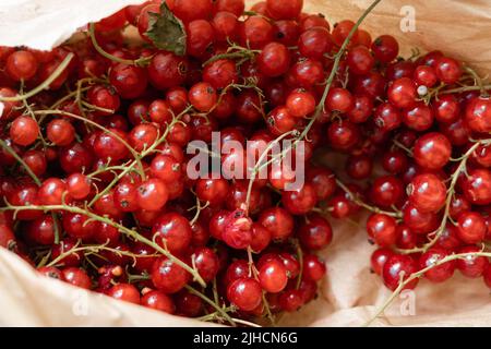 Draufsicht auf rote Johannisbeerbeeren in Papiertüte. Sommer gesunde Ernte Nahrung Stockfoto