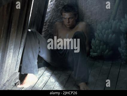 LEONARDO DICAPRIO, der Strand, 2000 Stockfoto