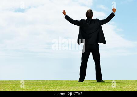 Erfolgreicher Geschäftsmann mit ausgestrecktem Arm auf einem Feld. Rückansicht eines erfolgreichen Geschäftsmanns mit ausgestrecktem Arm auf einem Feld. Stockfoto