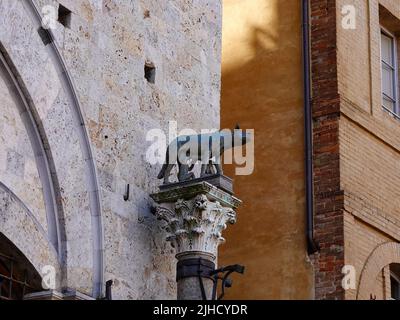 Statue von Romulus und Remus, von einem Wolf suckled, auf Säule vor dem Rathaus, Piazza del Campo, Siena, Italien. Stockfoto