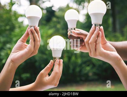 Mehrere Hände halten Glühbirnen draußen in der Natur. Nahaufnahme multiethnischer Menschen, die Glühbirnen als Konzept für nachhaltige Elektrizität halten. Multirassisch Stockfoto