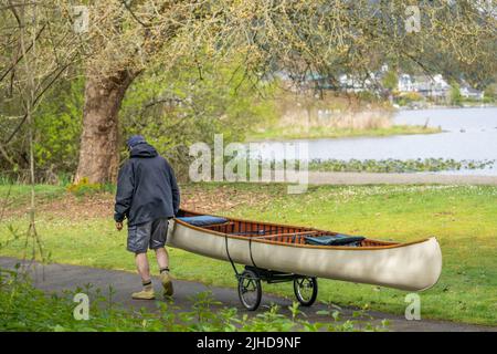 Issaquah, Washington, USA. Mann zieht sein Kanu auf einem Dolly, um es zum Lake Sammamish zu transportieren. (MR) Stockfoto