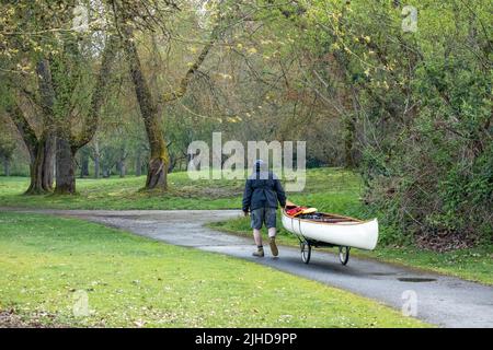 Issaquah, Washington, USA. Mann zieht sein Kanu auf einem Dolly, um es zum Lake Sammamish zu transportieren. (MR) Stockfoto