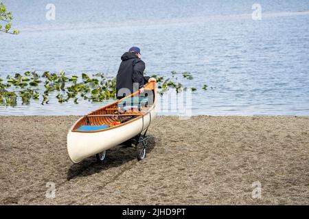 Issaquah, Washington, USA. Mann zieht sein Kanu auf einem Dolly, um es zum Lake Sammamish zu transportieren. (MR) Stockfoto