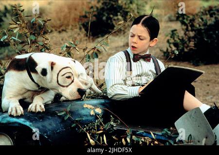 BUG HALL, Hund, die RASSELBANDE, 1994 Stockfoto