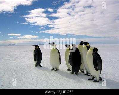 Antarktis KAISERPINGUINE, März der Pinguine, 2005 Stockfoto
