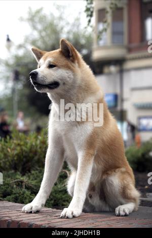 HACHIKO, HACHIKO: A DOG'S STORY, 2009 Stockfoto