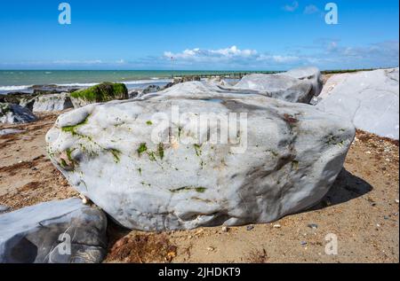 Große Felsen am Sandstrand, bedeckt mit grünen Algen bei Ebbe, Ultra Weitwinkel Blick, an einem Strand an der Küste in Großbritannien. Stockfoto