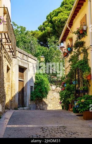 Enge Gasse aus alten Häusern mit Blumen und Pflanzen in einem kleinen Dorf in Madrid, Spanien. Stockfoto