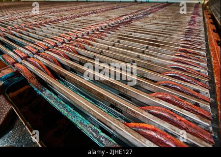 Elektrolysewanne mit installierten Kupferanoden im Werk Stockfoto