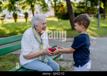 Das Enkelkind überraschte ihre Großmutter mit einem Geburtstagsgeschenk im Park. Lifestyle, Familienkonzept Stockfoto