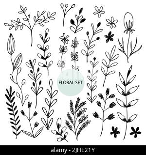 Set von handgezeichneten abstrakten floralen Zweige Silhouette. Schwarz-Weiß-Vektordarstellung. Dekorative Äste. Symbole für Blätter im Frühling und Sommer Stock Vektor