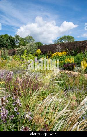 RHS Bridgewater Garden, in der Nähe von Manchester, England im Hochsommer. Der Paradiesgarten mit Pflanzen von bunten Stauden, Sträuchern und Ziergras. Stockfoto