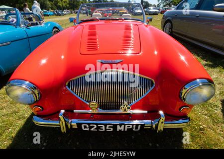 Vintage-Klassiker rot und blau Austin Healey Sportwagen Haldane MkII Stockfoto