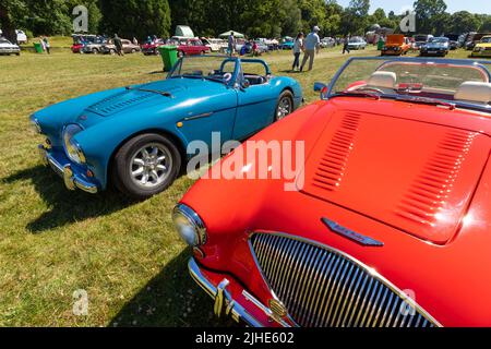Vintage-Klassiker rot und blau Austin Healey Sportwagen Haldane MkII Stockfoto