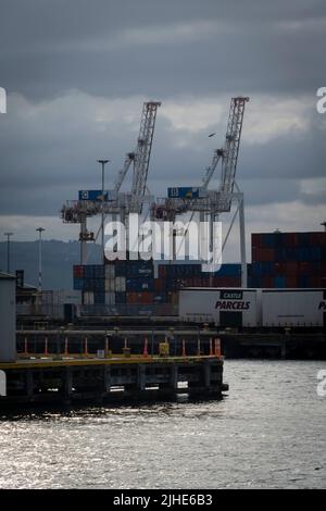 Hafen von Wellington bei stürmischem Wetter, Nordinsel, Neuseeland Stockfoto