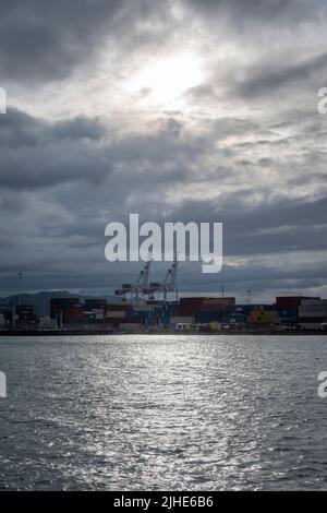 Hafen von Wellington bei stürmischem Wetter, Nordinsel, Neuseeland Stockfoto