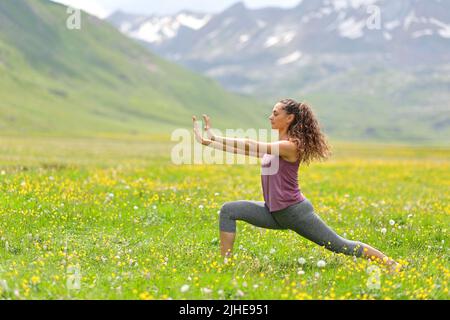 Profil einer Frau, die in einem hohen Bergfeld Tai Chi praktiziert Stockfoto