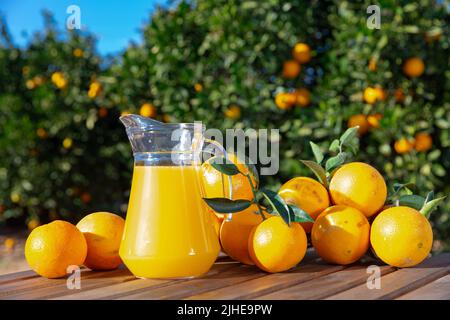 Kanne und Gläser frisch gepresster Orangensaft mit Orangen im Sommer im Freien Stockfoto