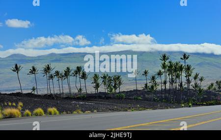 Atemberaubende Landschaft entlang des Highway 19 nördlich von Kona Kailua, Big Island HI Stockfoto