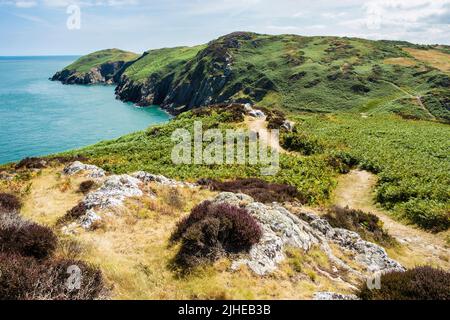 Landschaftlich schöner Blick auf den Anglesey Coast Path und die atemberaubende Küste in Richtung Porth Wen von Cemaes, Isle of Anglesey, Wales, Großbritannien, Europa Stockfoto