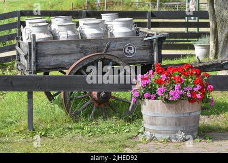 Koog aan de Zaan, Niederlande. Juli 2022. Alte Milchdosen auf einem Bauernhof in Koog aan de Zaan. Hochwertige Fotos Stockfoto