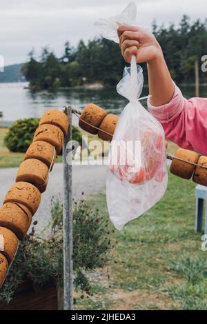 Frisch gefangenen Garnelen in Plastiktüte auf Eis vom Meeresfrüchtemarkt Stockfoto