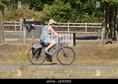 London, Großbritannien. 18.. Juli 2022. Sonnenschein im Richmond Park, während die Hitzewelle anhält. Kredit: JOHNNY ARMSTEAD/Alamy Live Nachrichten Stockfoto