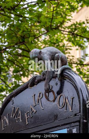 Dundee, Schottland, Großbritannien – Juni 23 2022. Die Affenstatue (in Ma Fair Toon) befindet sich in der Dundee High Street Stockfoto