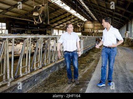 Kelpen-Oler, Niederlande. 18.. Juli 2022. 2022-07-18 10:50:54 KEPLEN-OLER - Premierminister Mark Rutte wird eine Tour von einem Kuhstall während eines Besuchs auf einer Farm in der Peel gegeben, um über die Stickstoff-Pläne zu sprechen. ANP SEM VAN DER WAL netherlands Out - belgium Out Credit: ANP/Alamy Live News Stockfoto