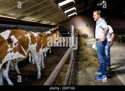 Kelpen-Oler, Niederlande. 18.. Juli 2022. 2022-07-18 10:28:16 KEPLEN-OLER - Premierminister Mark Rutte wird eine Tour von einem Kuhstall während eines Besuchs auf einer Farm in der Peel gegeben, um über die Stickstoff-Pläne zu sprechen. ANP SEM VAN DER WAL netherlands Out - belgium Out Credit: ANP/Alamy Live News Stockfoto
