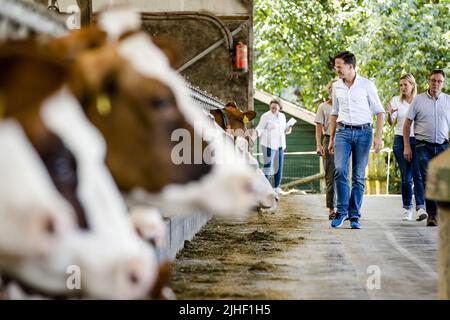 Kelpen-Oler, Niederlande. 18.. Juli 2022. 2022-07-18 13:07:32 KEPLEN-OLER - Premierminister Mark Rutte wird eine Tour von einem Kuhstall während eines Besuchs auf einer Farm in der Peel gegeben, um über die Stickstoff-Pläne zu sprechen. ANP SEM VAN DER WAL netherlands Out - belgium Out Credit: ANP/Alamy Live News Stockfoto