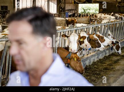 Kelpen-Oler, Niederlande. 18.. Juli 2022. 2022-07-18 13:12:15 KEPLEN-OLER - Premierminister Mark Rutte spricht mit der Presse während eines Besuchs auf einem Bauernhof in der Peel, um über die Stickstoff-Pläne zu sprechen. ANP SEM VAN DER WAL netherlands Out - belgium Out Credit: ANP/Alamy Live News Stockfoto