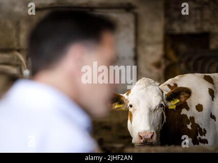 Kelpen-Oler, Niederlande. 18.. Juli 2022. 2022-07-18 10:40:08 KEPLEN-OLER - Premierminister Mark Rutte wird eine Tour von einem Kuhstall während eines Besuchs auf einer Farm in der Peel gegeben, um über die Stickstoff-Pläne zu sprechen. ANP SEM VAN DER WAL netherlands Out - belgium Out Credit: ANP/Alamy Live News Stockfoto