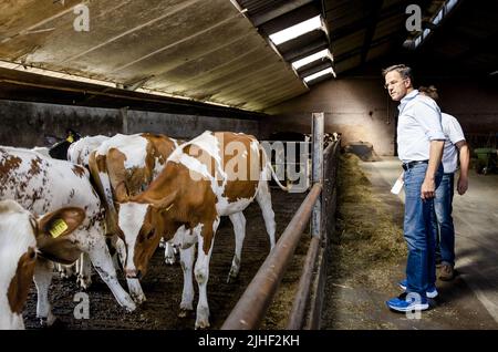 Kelpen-Oler, Niederlande. 18.. Juli 2022. 2022-07-18 10:28:11 KEPLEN-OLER - Premierminister Mark Rutte wird eine Tour von einem Kuhstall während eines Besuchs auf einer Farm in der Peel gegeben, um über die Stickstoff-Pläne zu sprechen. ANP SEM VAN DER WAL netherlands Out - belgium Out Credit: ANP/Alamy Live News Stockfoto