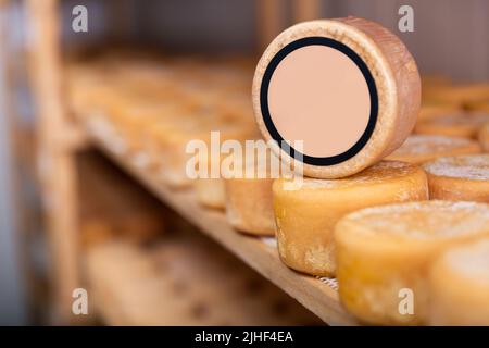 Köpfe von Ziegenkäse im reifenden Lagerhaus, ein Rad mit Copyspace Stockfoto