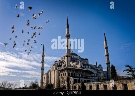 Vögel fliegen um die blaue Moschee oder Sultan Ahmed Mosque in Istanbul, Türkei. Stockfoto