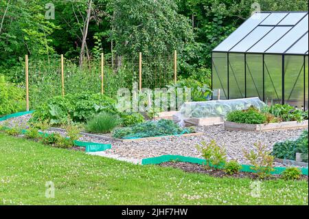 Süßerbsen und Anbaukästen in der Nähe des grünen Hauses im Garten Stockfoto