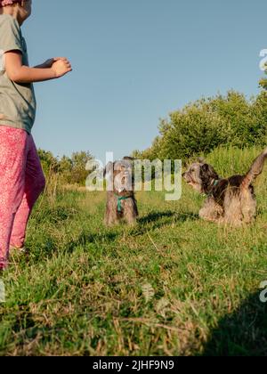 Kleines Mädchen umarmt spielen mit Hund im Freien. Familienspaziergängen Spaß haben Zeit zusammen in der Natur zu verbringen. Kind mit Haustier Freund auf Sommerwiese. Acti Stockfoto