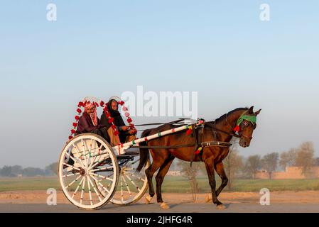 Ein Pferd und Buggy oder Pferd und Kutsche auf der Straße im Morgenlicht, Kultur von Punjab, traditionelle Art des Transports Stockfoto