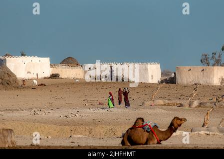 Die Cholistan-Wüste, auch lokal als Rohi bekannt, ist eine Wüste im südlichen Teil von Punjab, Pakistan, die Teil der Greater Thar Desert ist Stockfoto